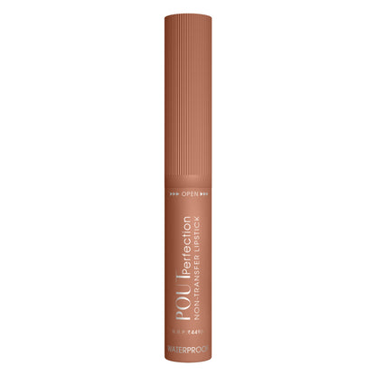 Pout Perfection Non Transfer Lipstick
