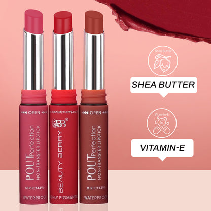 Pout Perfection Non Transfer Lipstick