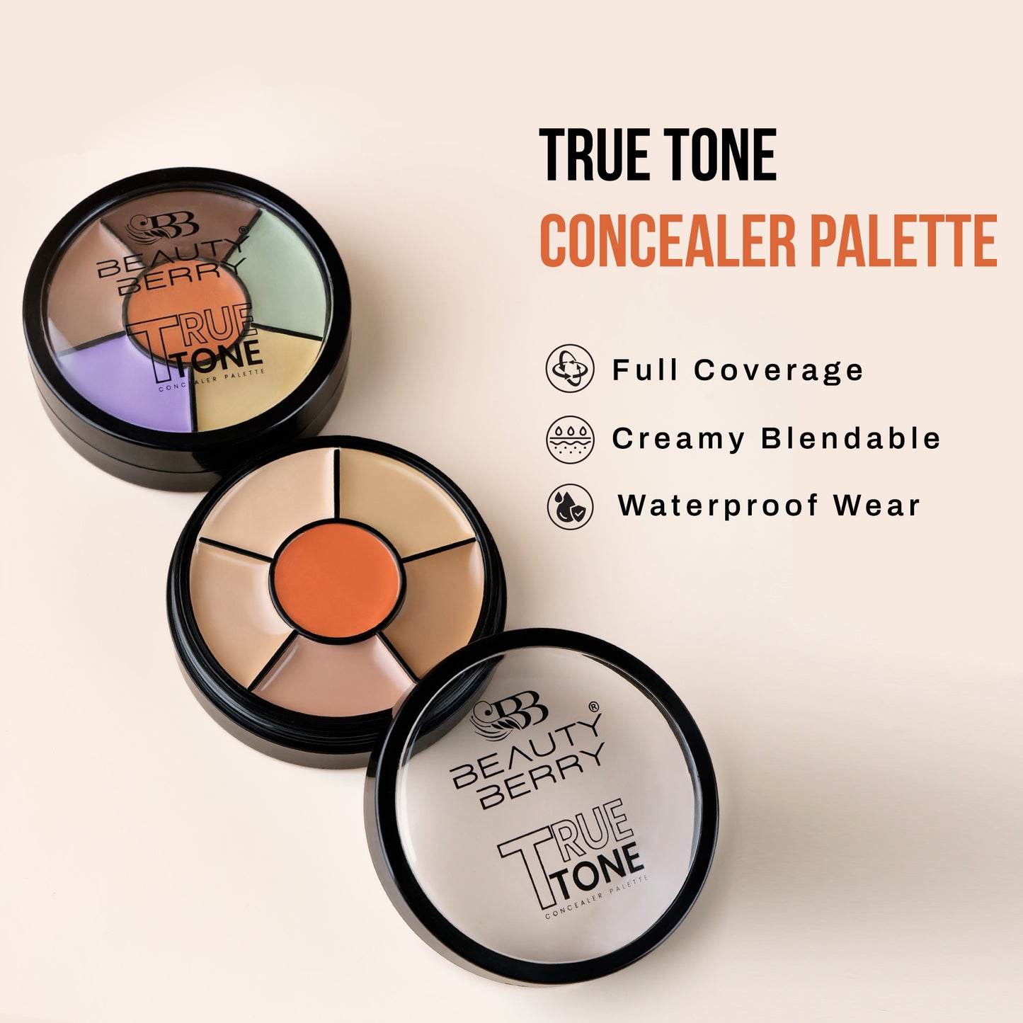 Beauty Berry True Tone Concealer Palette