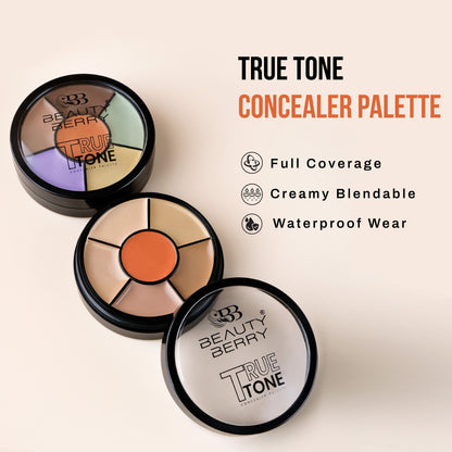 Beauty Berry True Tone Concealer Palette